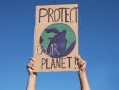 Demo-Schild "Protect Our Planet"