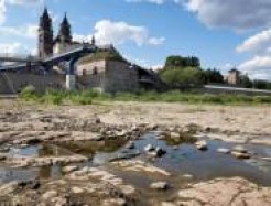  Domfelsen in der Elbe bei Niedrigwasser