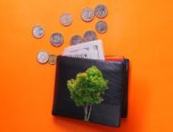 Baum auf Brieftasche