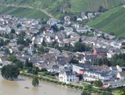 Hochwasser am Rhein