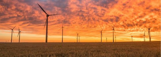 Windräder auf eine Feld bei Sonnenaufgang