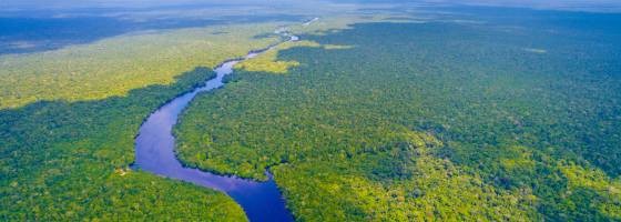 Amazonas in Brasilien 