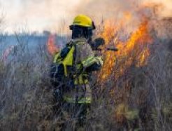 Feuerwehr löscht Waldbrand