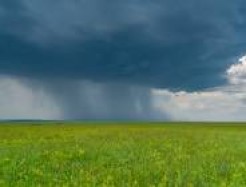 Regen auf einem Feld