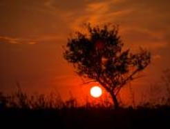 Sonnenuntergang über vertrockneter Landschaft