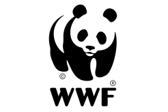 WWF